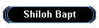 Shiloh Bapt